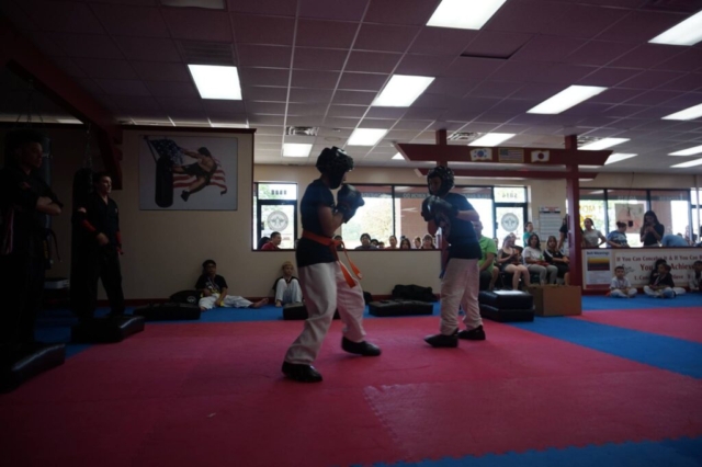 Kickboxing Classes Shelby Township