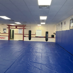 Gracie Jiu Jitsu Training Center Shelby Township MI