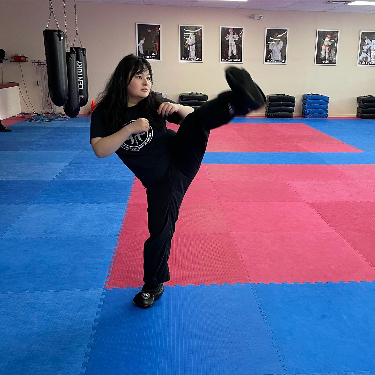 free trial kickboxing class shelby township